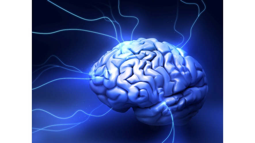 cérebro e impulso nervoso dos neurônios