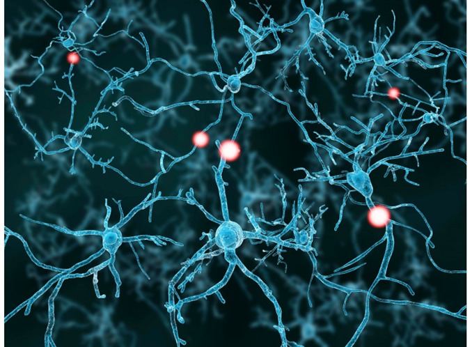 Cérebro e Neuroplasticidade 